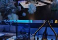 市场招聘图片文案（创意市场招聘视觉叙事：构建吸引人才的图片文案新篇章）
