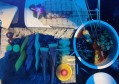 上海浦东新区北蔡镇附近夜总会招聘商务接待,有学历要求吗？