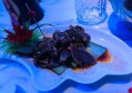 上海浦东新区合庆镇附近夜总会招聘酒水促销员,一个月工资多少