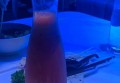 上海浦东新区唐镇附近ktv招聘包厢陪唱,不限身高