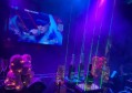 上海翻台高的夜总会ktv招聘酒水销售员,还有哪些职位
